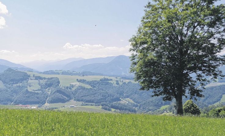 80 neue Bänke werden 2017 im Ennstal aufgestellt. Foto: TVB Ennstal