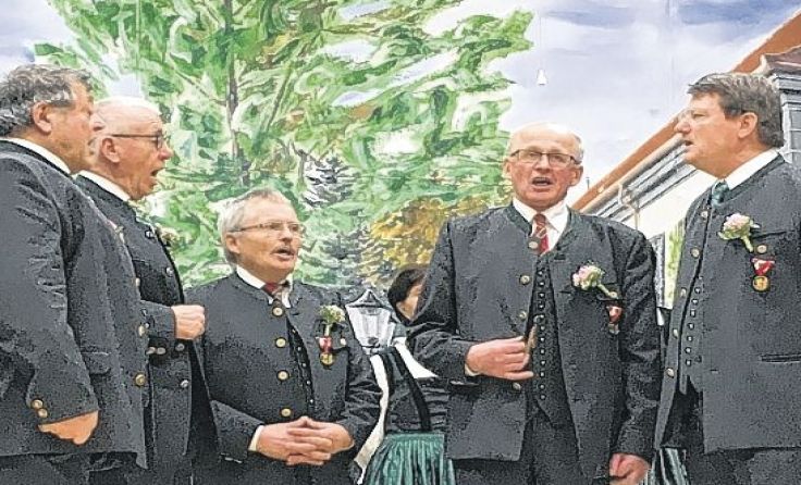 Die Waldneukirchner Aufblattler-Rud beim heurigen Auftritt in Sierning