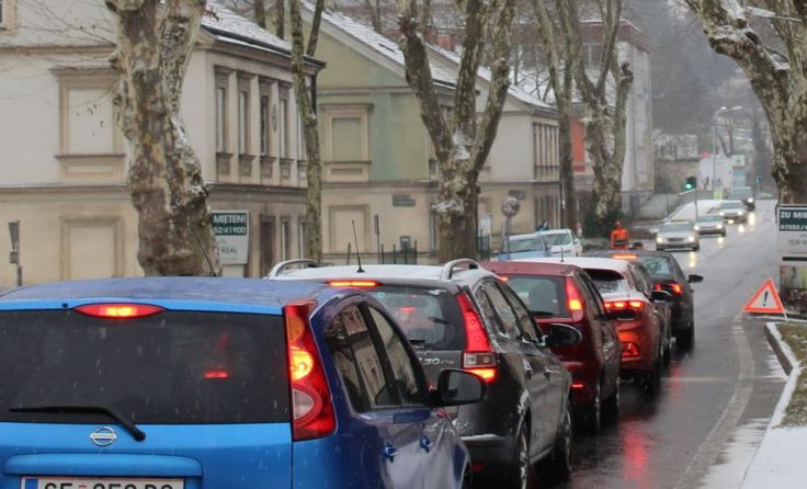In der Schwimmschulstraße im Steyrer Stadtteil Wehrgraben werden Platanen zurückgeschnitten.