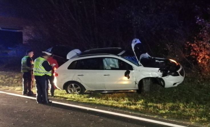 Der Fahrer blieb unverletzt. Foto: FF Neuzeug-Sierninghofen