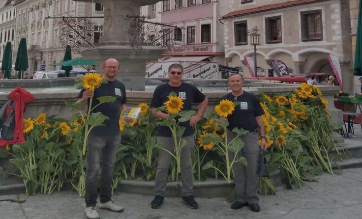 Im Steyrer Stadtzentrum haben die Aktivisten Sonnenblumen verschenkt. Foto: privat