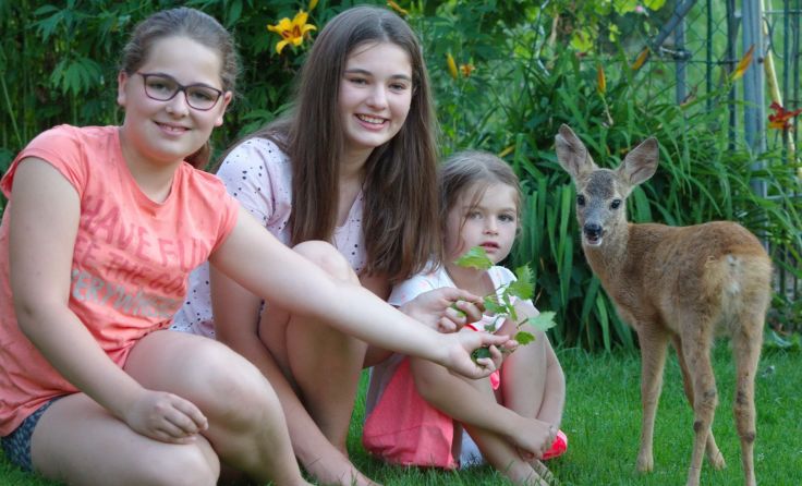 Magdalena, Franziska und Elisabeth (von links) mit Rehkitz „Ricky“ Foto: geh