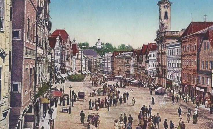 Die Grünen bereiten einen weiteren Antrag im Gemeinderat vor. Foto: Grüne