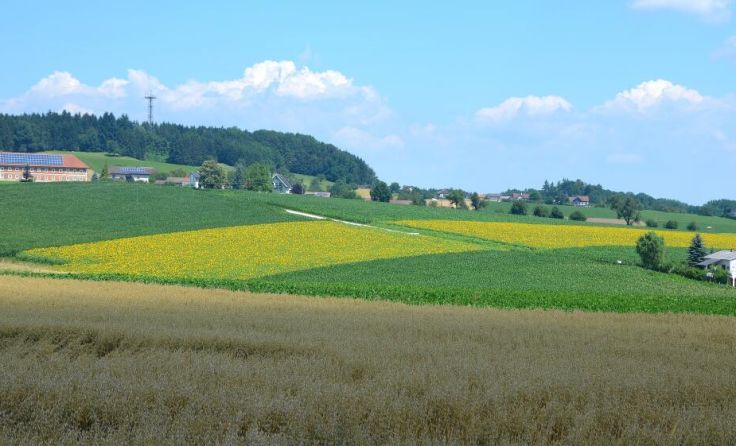  (Foto: feh)