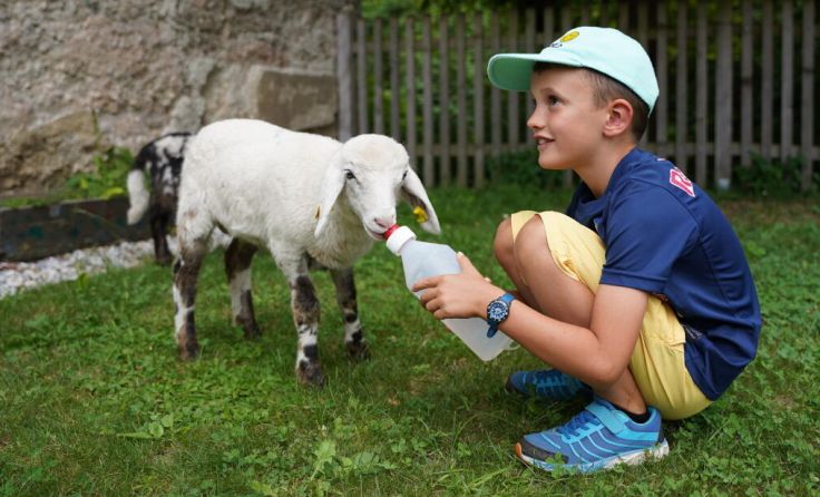 Julian (7) hilft beim Lämmerfüttern (Foto: BMW Group Werk Steyr)