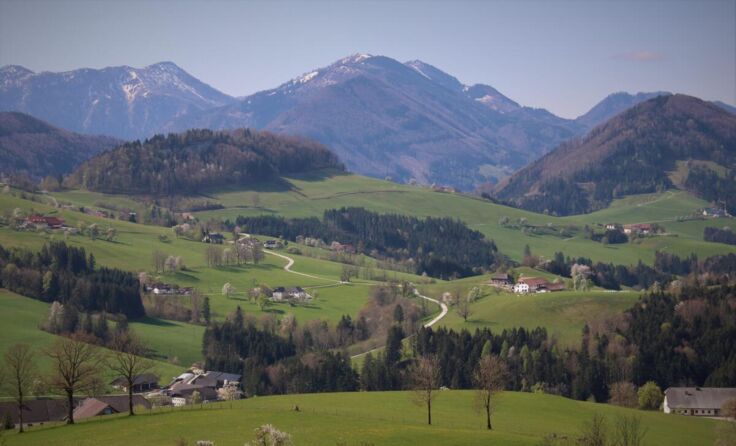 (Foto: Franz Hörndler)
