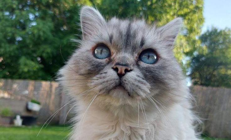  (Foto: privat)