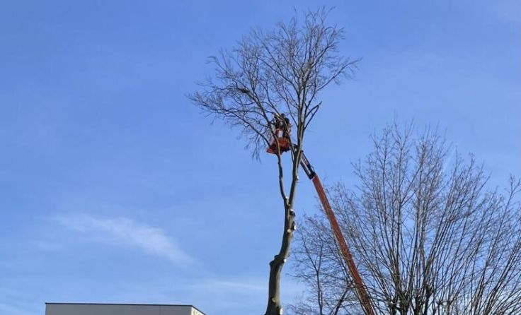 (Foto: Freyschlag)