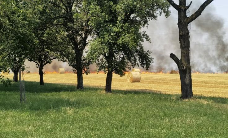 Flurbrände beschäftigen im Juli die Feuerwehr. (Foto: FF Wolfern)