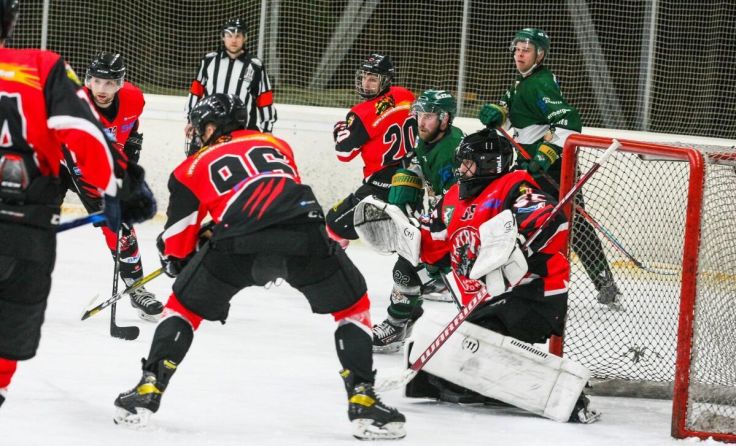 Die Panthers besiegten die Grizzlies (Foto: Atsv Steyr Panthers)