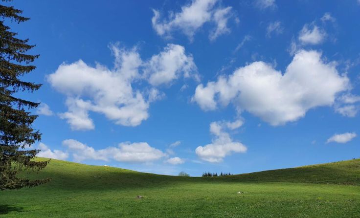 Bilder können bis 10. Mai eingereicht werden. (Foto: Anita Buchberger)