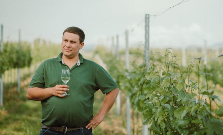Armin Rogl ist der erste Winzer von Bad Hall. (Foto: Weinbau Rogl)