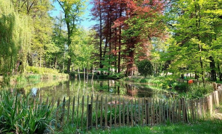 Der Schlosspark im Steyrer Stadtzentrum (Foto: rh)
