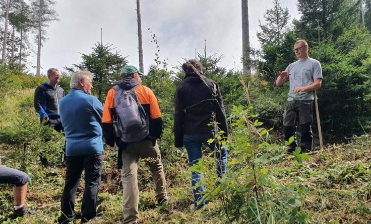 Die kostenlose Führung findet am 6. September am Damberg statt. (Foto: ÖBf)