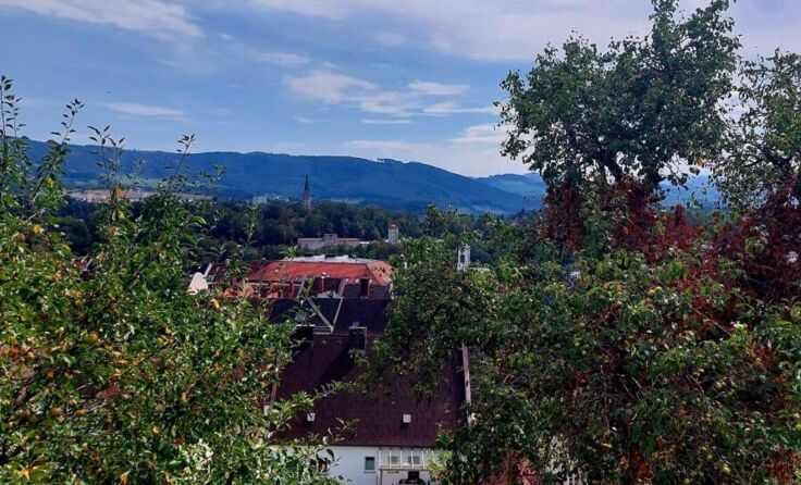 Steyr beteiligt sich an der "Earth Night". (Foto: rh)