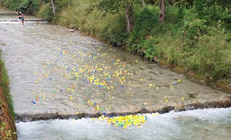 Enten-Rennen im Laussabach (Foto: Norbert Wildling)