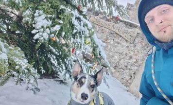 Border Collie Cooper stirbt wegen fataler Verwechslung von Jäger