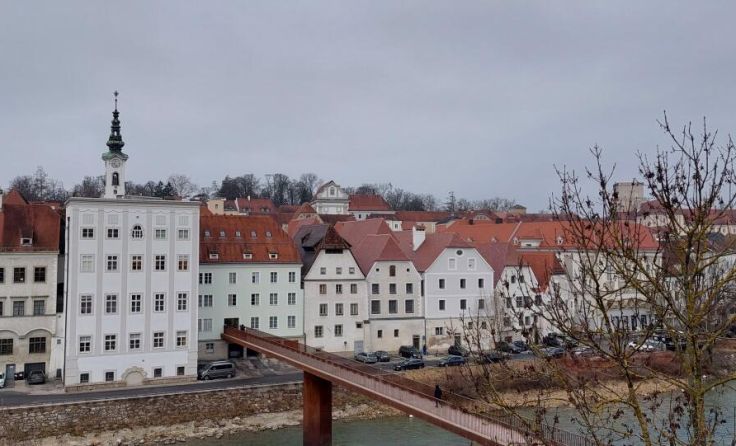 Der Steyrer Gemeinderat tagte am Donnerstag im Rathaus. (Foto: rh)