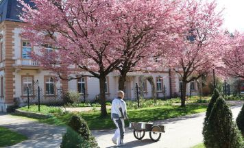 Rosaroter Blütenzauber in Bad Hall