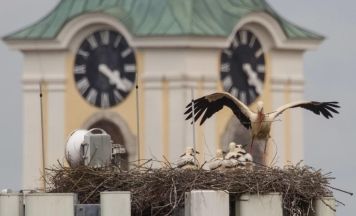 Unterrichtsstunde für Pfarrkirchner Jungstörche