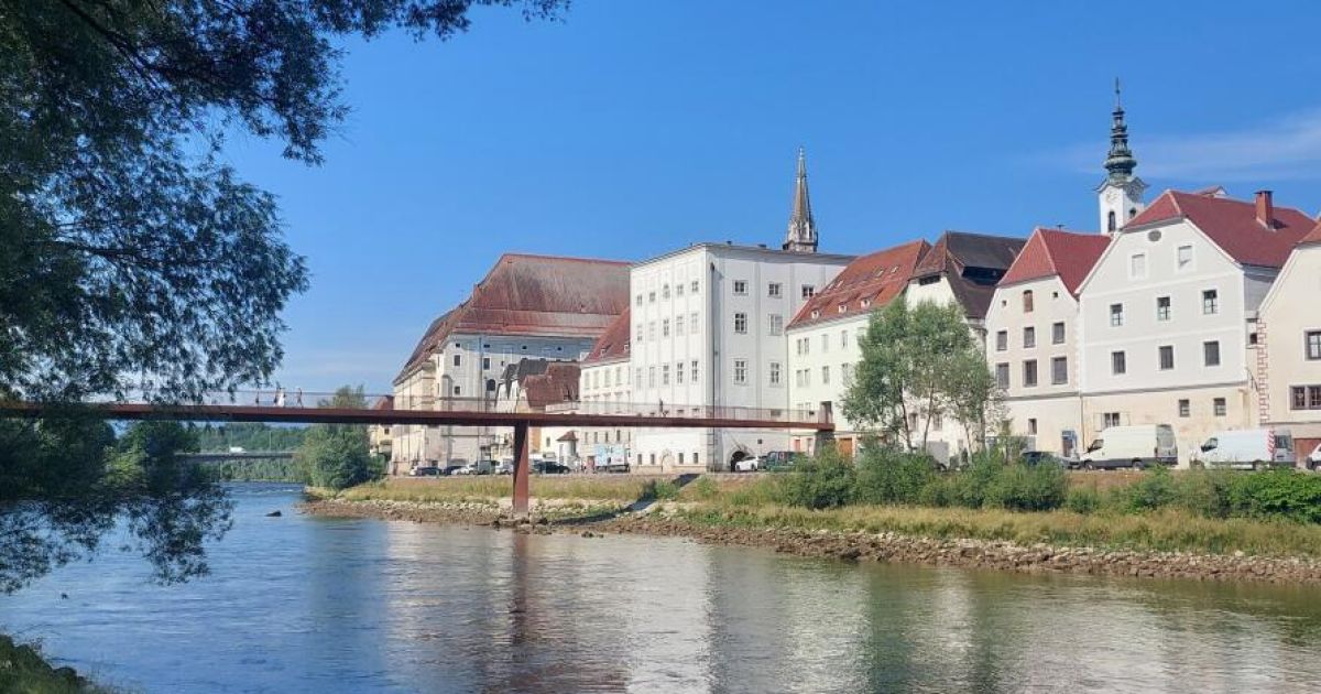 Steyr presented its financial statements for 2025