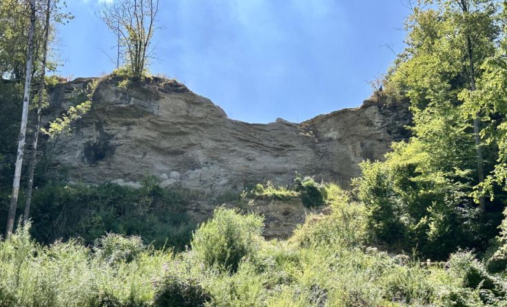 An dieser Felswand in Unterhimmel werden die Arbeiten durchgeführt. (Foto: Magistrat Steyr)