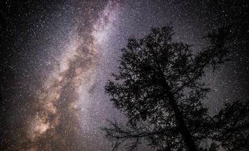 Natürliche Dunkelheit in der Eisenwurzen lässt Sternschnuppen strahlen