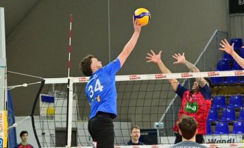 Brüder aus Steyr spielen in der Volleyball-Bundesliga