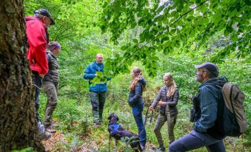 Einblicke in die Waldbewirtschaftung am Damberg