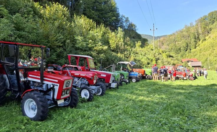 Oldtimer-Treffen der Traktorfreunde Liliental. (Foto: Marktgemeinde Gaflenz)
