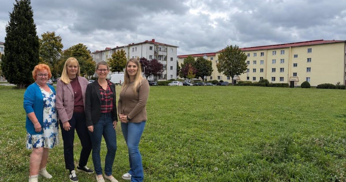 Steyr to get an additional dog park