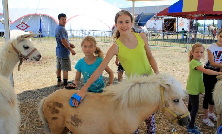 Faszination Zirkus erleben. 	             Foto: Circus Louis Knie