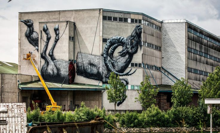 Auch Streetart-Star ROA aus Belgien verewigte sich bereits in Linz. Alles Fotos: flap.at