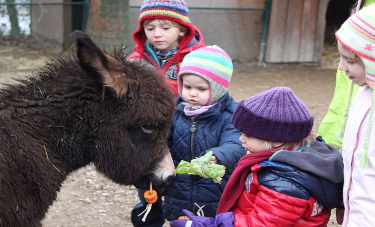 Auch "essbare Geschenke" im Zoo Linz basteln.