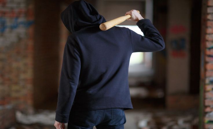 Privat-Polizei stößt in Linz auf Ablehnung. Foto: Alfa Photostudio/Shutterstock.com