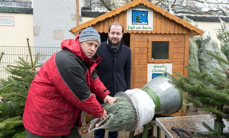 Vizebürgermeister Bernhard Baier mit dem „perfekten Baum fürs Fest“. Foto: Stadt Linz