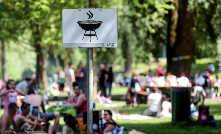 Am Pleschinger See in Urfahr soll eine neue Grillzone entstehen. (Foto: volker weihbold)