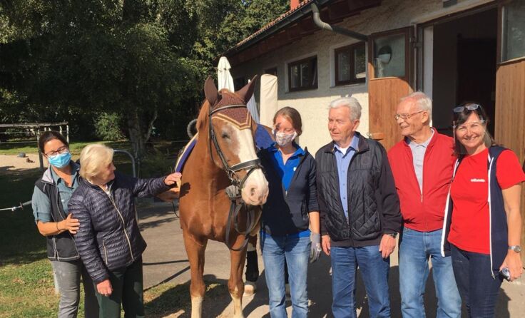 Den Weltalzheimertag am Montag mit Theraphiepferd Foxy verbracht (Foto: Volkshilfe OÖ)