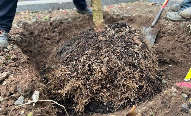 Im Rathausviertel wurde seit September gefplant. (Foto: Privat)