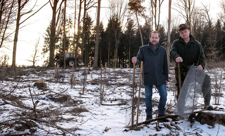 Vizebürgermeister Bernhard Baier und Stadtförster Rudolf Horner Foto: Stadt Linz