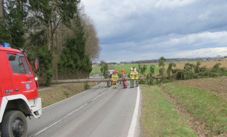 Fotos: St. Georgen