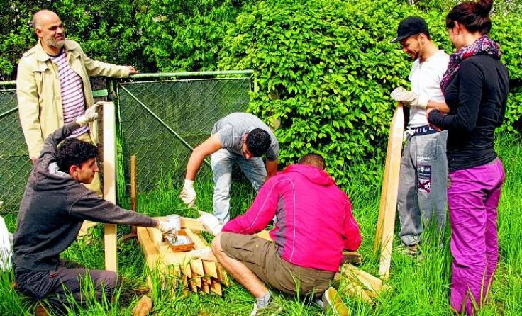 Der Garten musste zuvor – ebenfalls von den Flüchtlingen – vorbereitet werden.