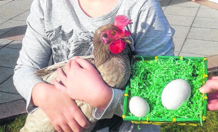 Tochter Anja mit Huhn Ramona, das das Riesenei (daneben Normalgröße) legte. 