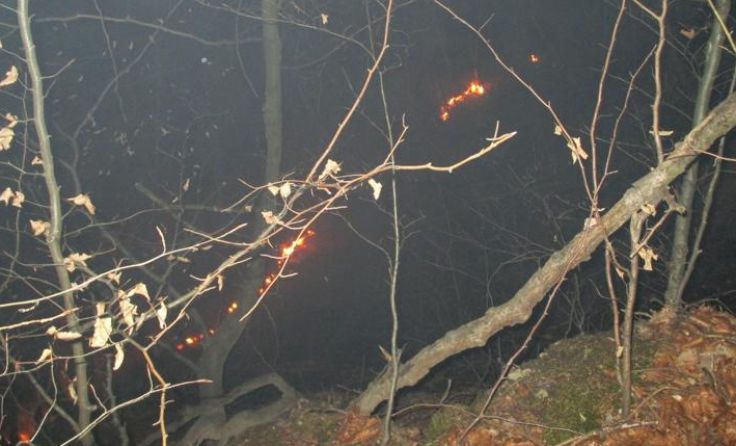 Fotos: FF Vöcklabruck