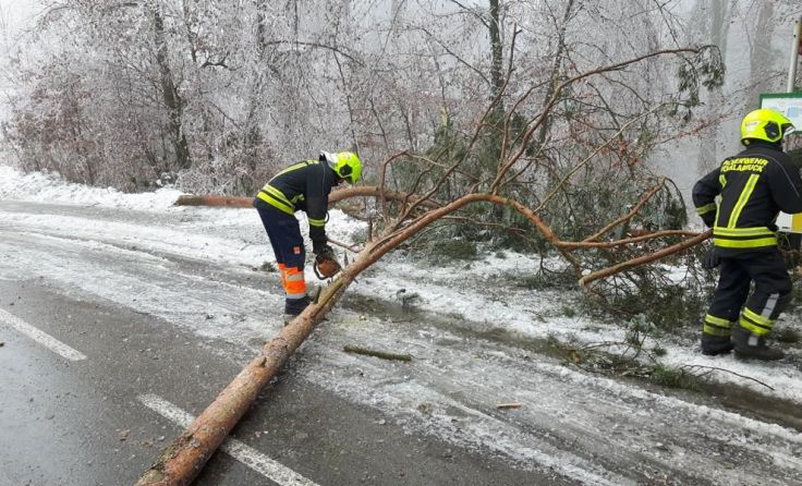 Umgestürzter Baum in Buchleiten Fotos: FF Vöcklabruck