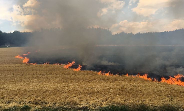 Foto: FF Schwanenstadt