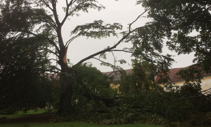 Fotos: FF Puchheim