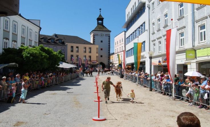 Besonders die jungen Pferdefans haben die Sympathien auf ihrer Seite.
