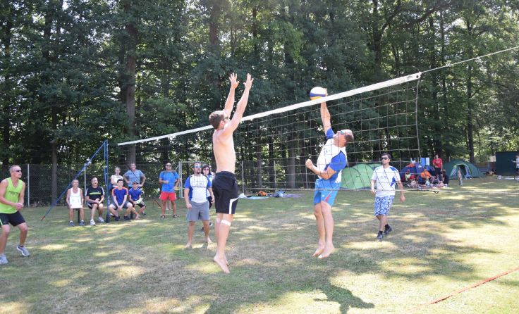 Foto: Sandwürmer