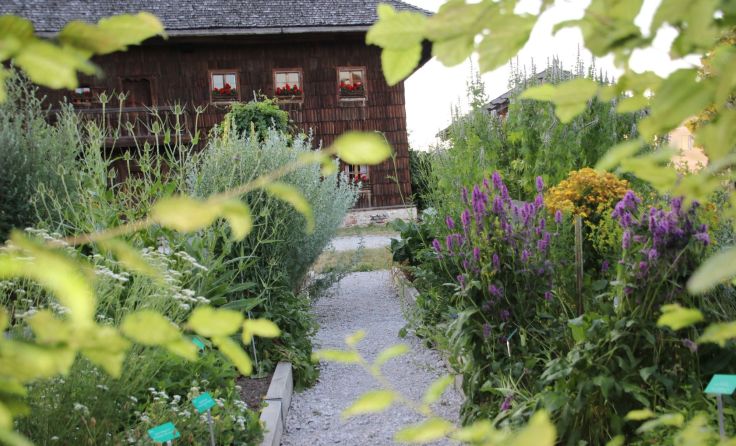 Fotos: Stehrerhof